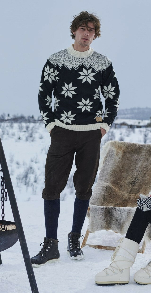 Dale of Norway Winter Sweater cheapest